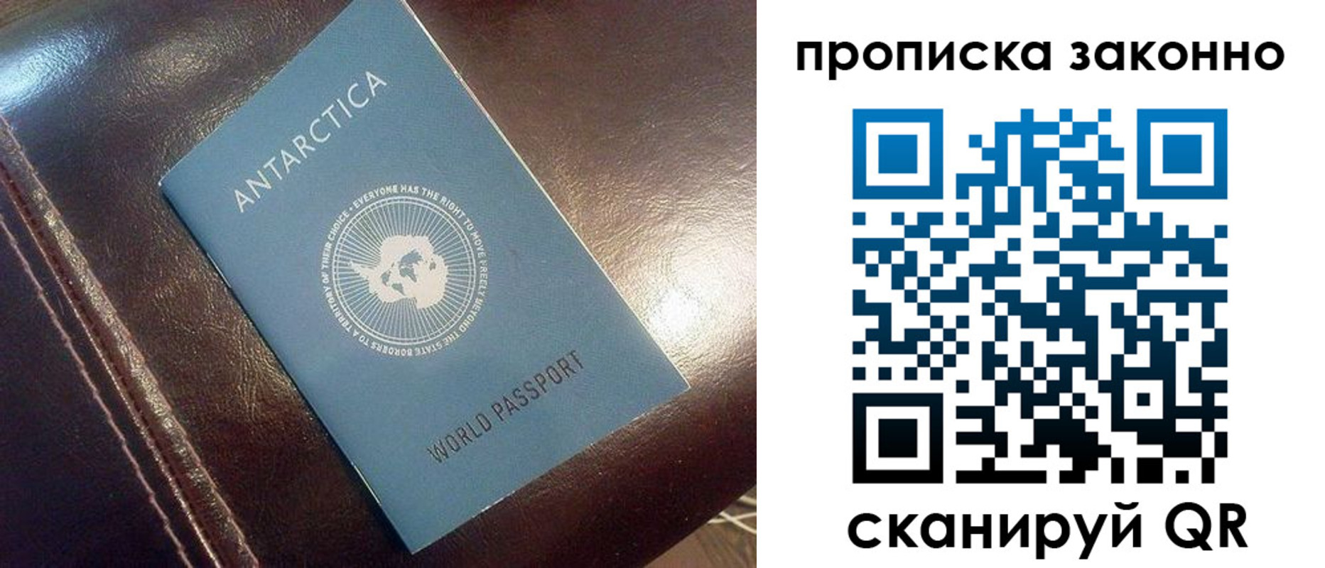 временная регистрация в Александрове